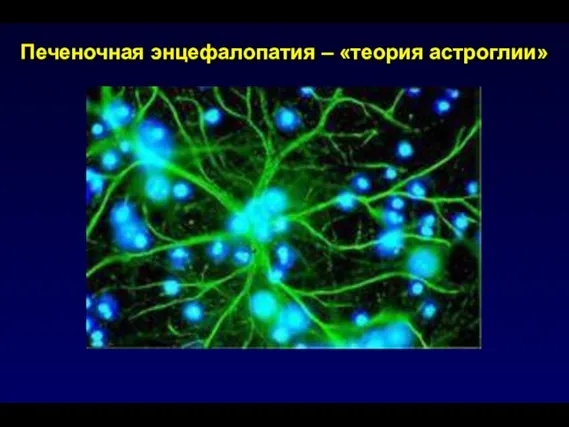 Печеночная энцефалопатия – «теория астроглии»