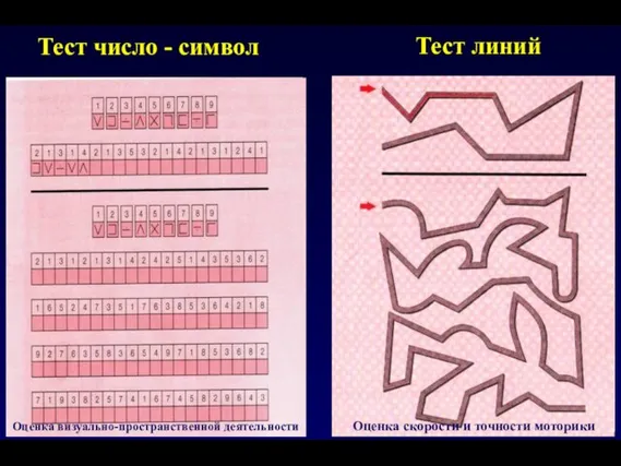 Тест число - символ Тест линий Оценка визуально-пространственной деятельности Оценка скорости и точности моторики