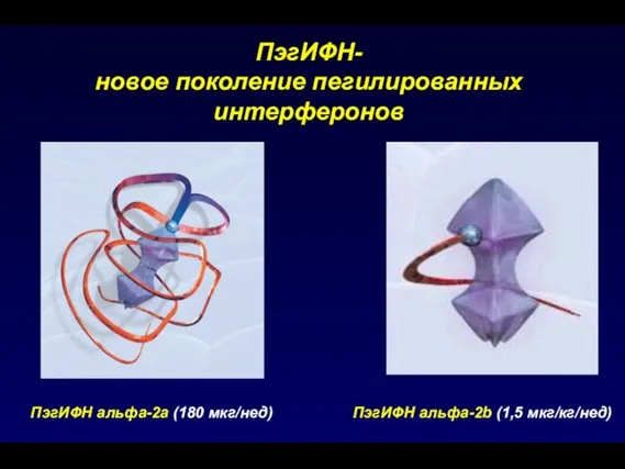 ПэгИФН- новое поколение пегилированных интерферонов ПэгИФН альфа-2b (1,5 мкг/кг/нед) ПэгИФН альфа-2а (180 мкг/нед)