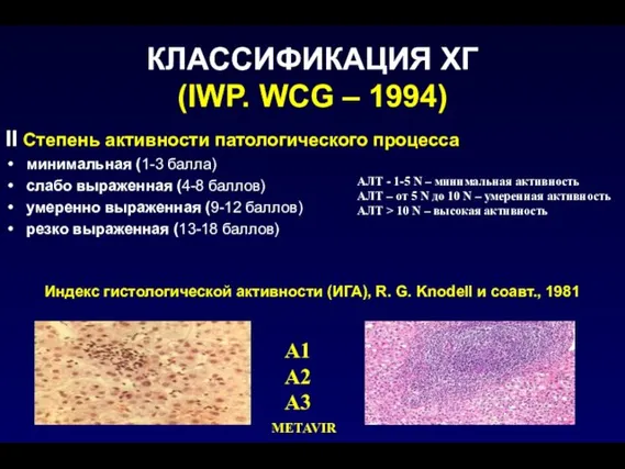 КЛАССИФИКАЦИЯ ХГ (IWP. WCG – 1994) II Степень активности патологического процесса минимальная