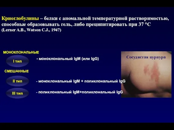 II тип III тип МОНОКЛОНАЛЬНЫЕ - моноклональный IgM (или IgG) I тип