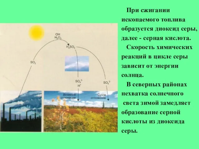 При сжигании ископаемого топлива образуется диоксид серы, далее - серная кислота. Скорость