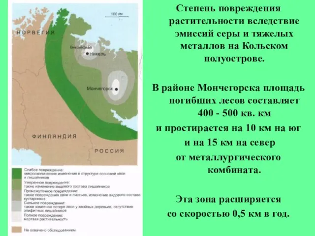 Степень повреждения растительности вследствие эмиссий серы и тяжелых металлов на Кольском полуострове.