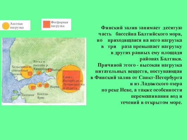 Финский залив занимает десятую часть бассейна Балтийского моря, но приходящаяся на него