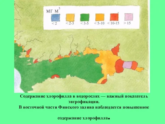 Содержание хлорофилла в водорослях — важный показатель эвтрофикации. В восточной части Финского