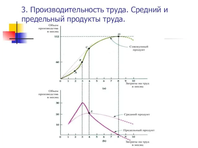 3. Производительность труда. Средний и предельный продукты труда.