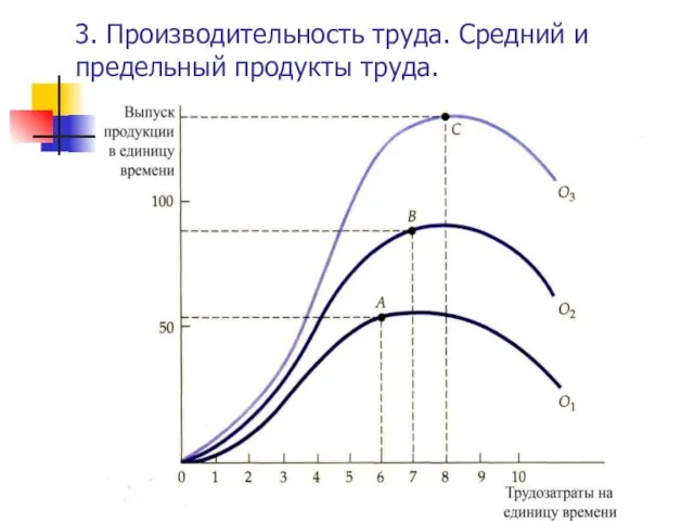 3. Производительность труда. Средний и предельный продукты труда.