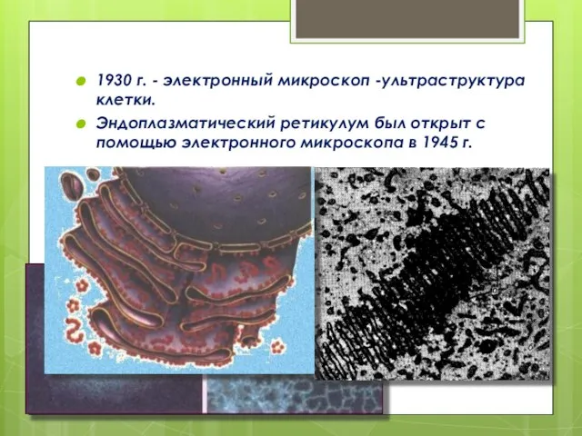 1930 г. - электронный микроскоп -ультраструктура клетки. Эндоплазматический ретикулум был открыт с