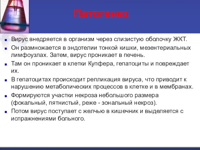 Патогенез Вирус внедряется в организм через слизистую оболочку ЖКТ. Он размножается в