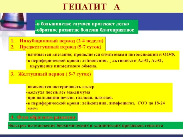 ГЕПАТИТ А в большинстве случаев протекает легко обратное развитие болезни благоприятное 1.