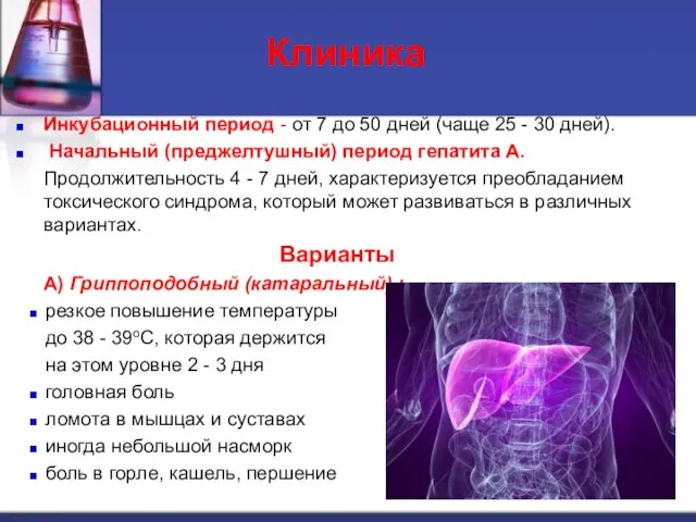 Клиника Инкубационный период - от 7 до 50 дней (чаще 25 -