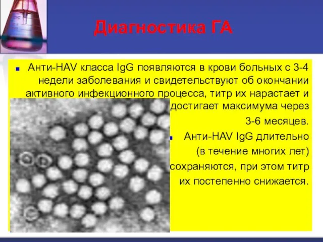 Диагностика ГА Анти-HAV класса IgG появляются в крови больных с 3-4 недели