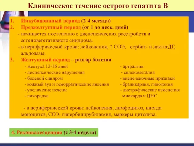 Клиническое течение острого гепатита В Инкубацоинный период (2-4 месяца) Преджелтушный период (от