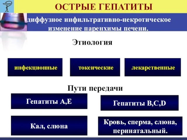 ОСТРЫЕ ГЕПАТИТЫ диффузное инфильтративно-некротическое изменение паренхимы печени. Этиология инфекционные токсические лекарственные Пути