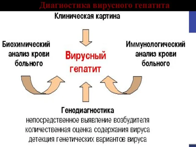 Диагностика вирусного гепатита