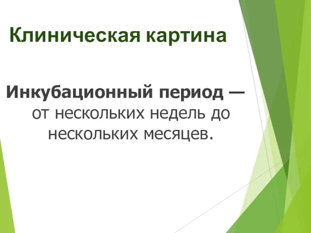 Клиническая картина Инкубационный период — от нескольких недель до нескольких месяцев.