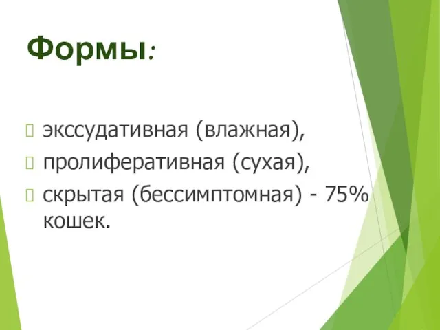 Формы: экссудативная (влажная), пролиферативная (сухая), скрытая (бессимптомная) - 75% кошек.