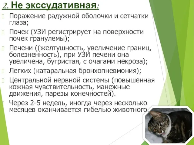 2. Не экссудативная: Поражение радужной оболочки и сетчатки глаза; Почек (УЗИ регистрирует