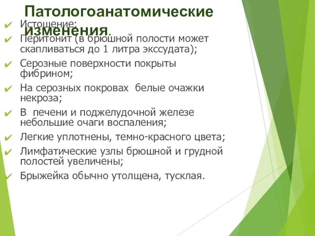 Патологоанатомические изменения. Истощение; Перитонит (в брюшной полости может скапливаться до 1 литра