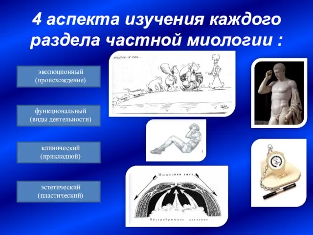 4 аспекта изучения каждого раздела частной миологии : эволюционный (происхождение) функциональный (виды