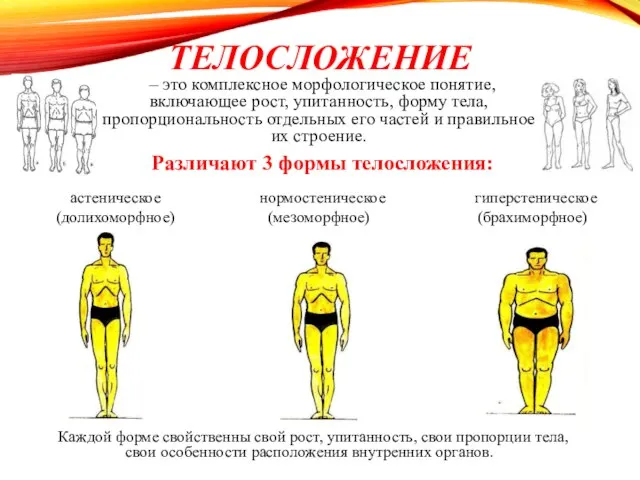 ТЕЛОСЛОЖЕНИЕ – это комплексное морфологическое понятие, включающее рост, упитанность, форму тела, пропорциональность