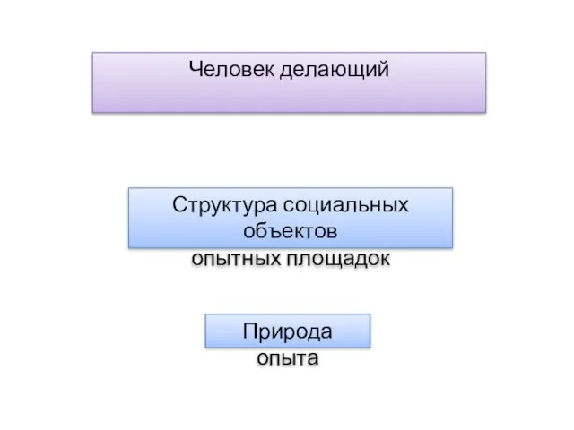 Человек делающий Природа опыта Структура социальных объектов опытных площадок