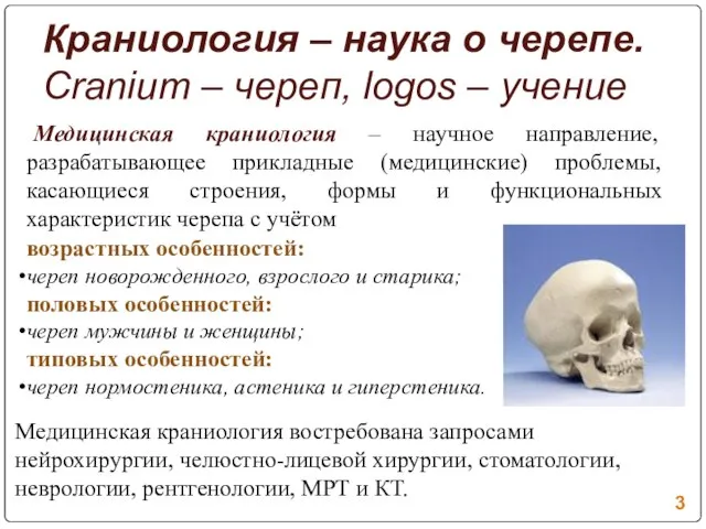 Краниология – наука о черепе. Cranium – череп, logos – учение Медицинская