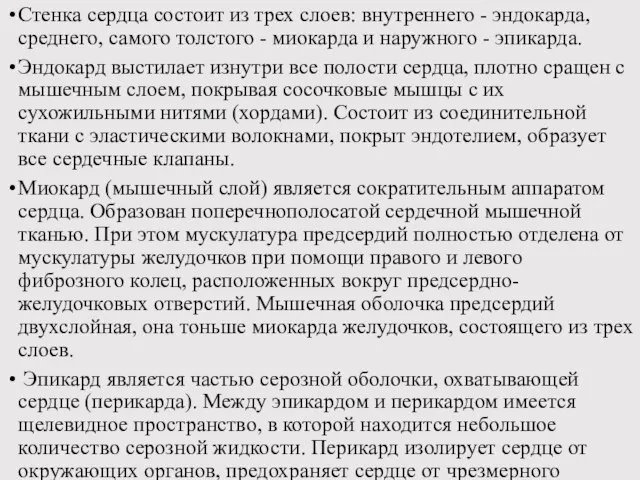 Стенка сердца состоит из трех слоев: внутреннего - эндокарда, среднего, самого толстого