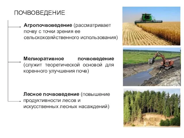 ПОЧВОВЕДЕНИЕ Агропочвоведение (рассматривает почву с точки зрения ее сельскохозяйственного использования) Мелиоративное почвоведение