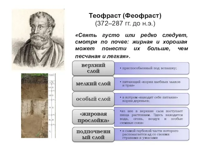 Теофраст (Феофраст) (372–287 гг. до н.э.) «Сеять густо или редко следует, смотря