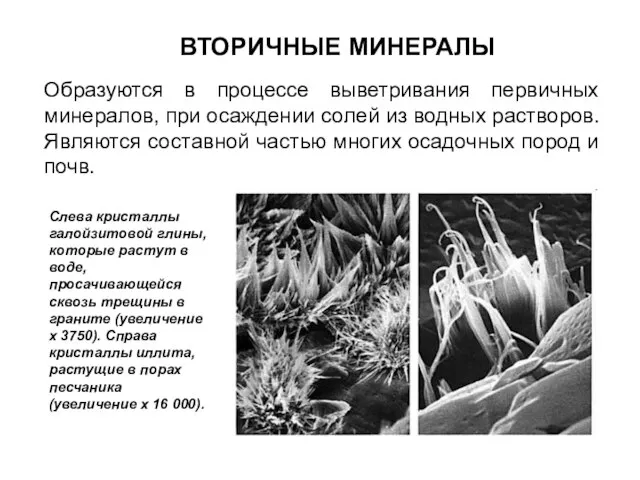 ВТОРИЧНЫЕ МИНЕРАЛЫ Образуются в процессе выветривания первичных минералов, при осаждении солей из