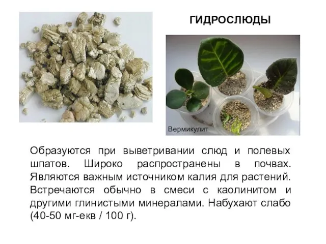 Образуются при выветривании слюд и полевых шпатов. Широко распространены в почвах. Являются