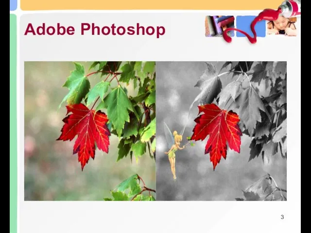 Adobe Photoshop