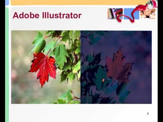 Adobe Illustrator