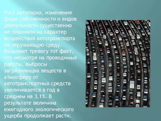 Рост автопарка, изменение форм собственности и видов деятельности существенно не повлияли на