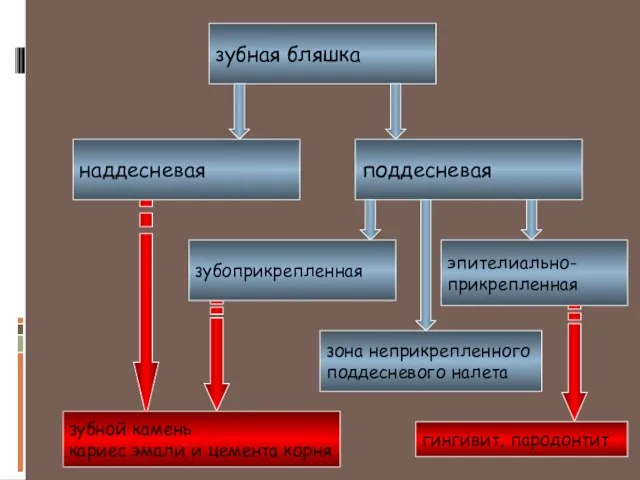 зубная бляшка наддесневая поддесневая зубоприкрепленная эпителиально- прикрепленная зона неприкрепленного поддесневого налета зубной