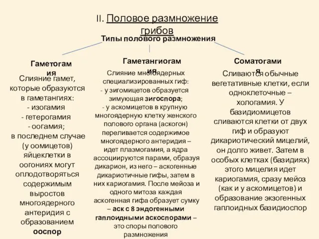 II. Половое размножение грибов Типы полового размножения Гаметогамия Гаметангиогамия Соматогамия Слияние гамет,