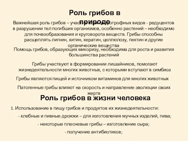 Роль грибов в природе Важнейшая роль грибов – участие всех сапротрофных видов