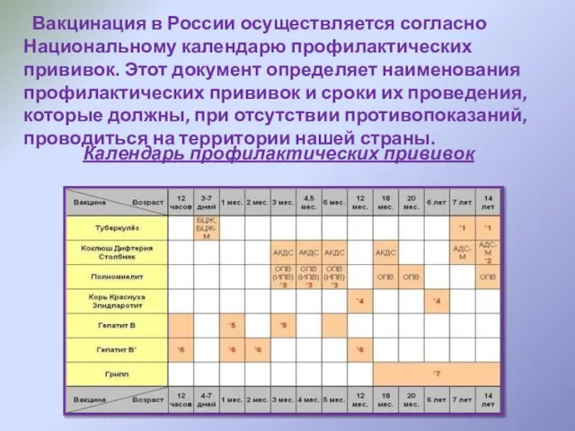 Вакцинация в России осуществляется согласно Национальному календарю профилактических прививок. Этот документ определяет