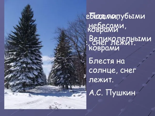 Под голубыми небесами, Великолепными коврами Блестя на солнце, снег лежит. А.С. Пушкин