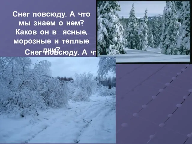 Снег повсюду. А что мы знаем о нем? Каков он в ясные,