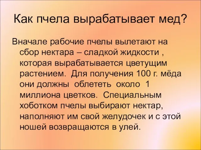 Как пчела вырабатывает мед? Вначале рабочие пчелы вылетают на сбор нектара –