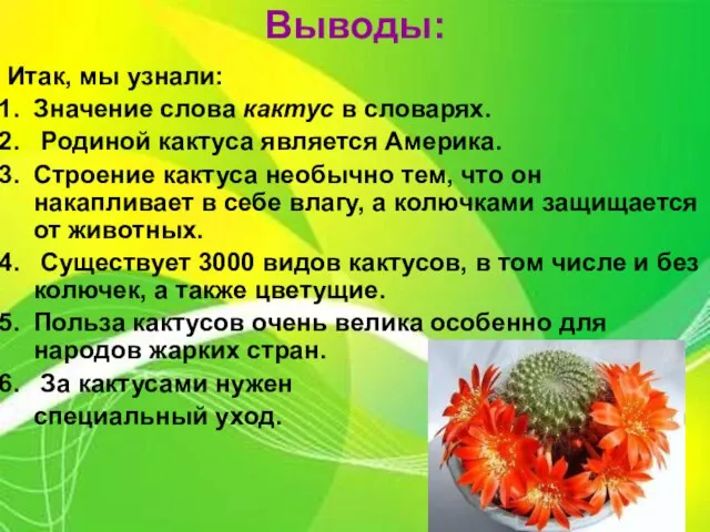 Выводы: Итак, мы узнали: Значение слова кактус в словарях. Родиной кактуса является