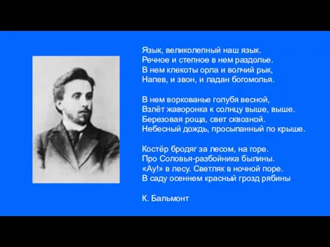 Язык, великолепный наш язык. Речное и степное в нем раздолье. В нем