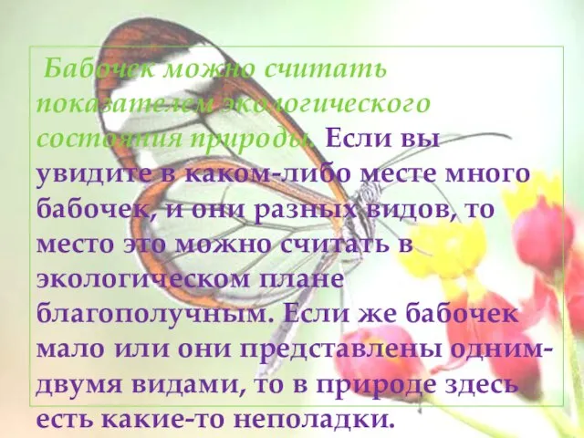 Бабочек можно считать показателем экологического состояния природы. Если вы увидите в каком-либо