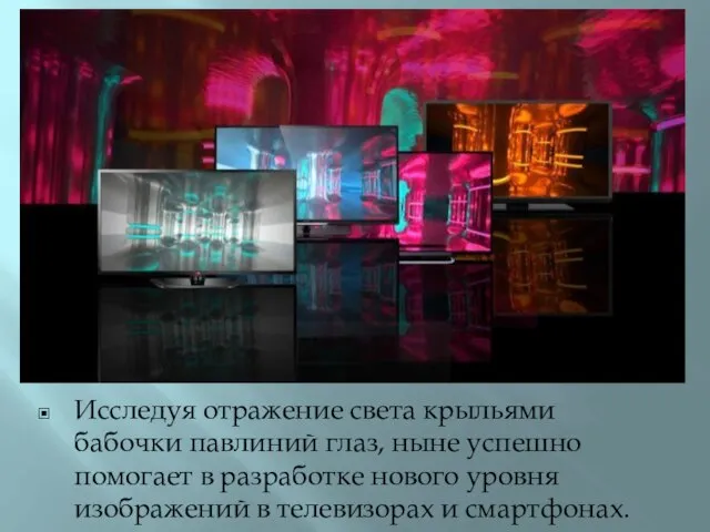 Исследуя отражение света крыльями бабочки павлиний глаз, ныне успешно помогает в разработке