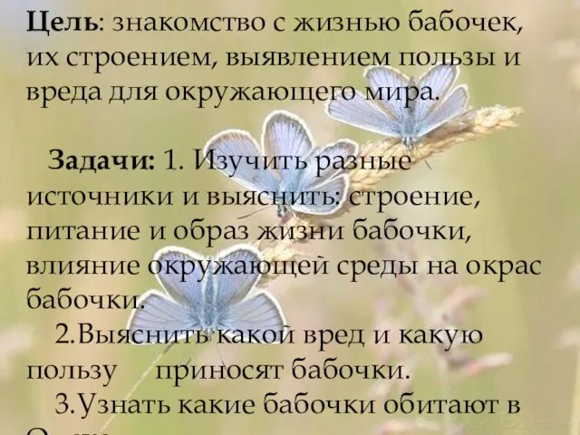 Цель: знакомство с жизнью бабочек, их строением, выявлением пользы и вреда для