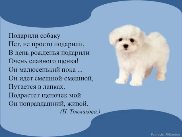 Подарили собаку Нет, не просто подарили, В день рожденья подарили Очень славного