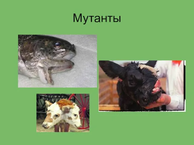 Мутанты