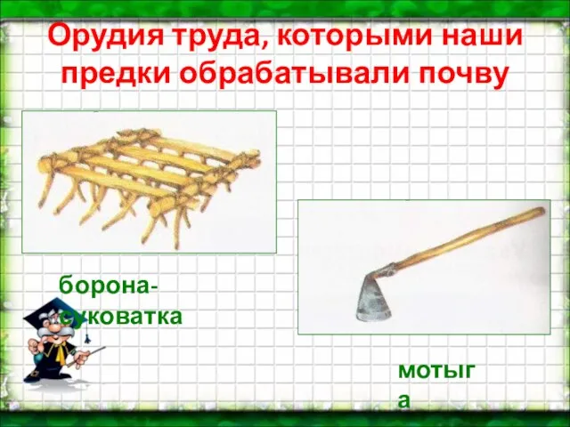 Орудия труда, которыми наши предки обрабатывали почву мотыга борона-суковатка